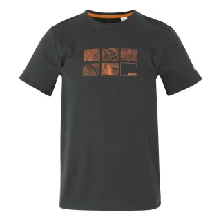 REGATTA CAMISETA MANGA CORTA BREEZED V ASH PORTADA,ARISTARUN