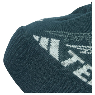 COMPRAR ADIDAS TERREX XPP GORRO TREKKING ONLINE 2