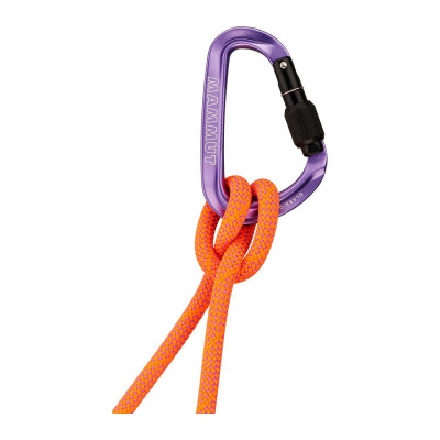 MAMMUT MOSQUETÓN HMS SREW-GATE MORADO, ARISTARUN 2