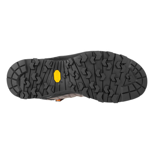 SALEWA BOTA ALP TRAINER 2 MID GTX, ARISTARUN