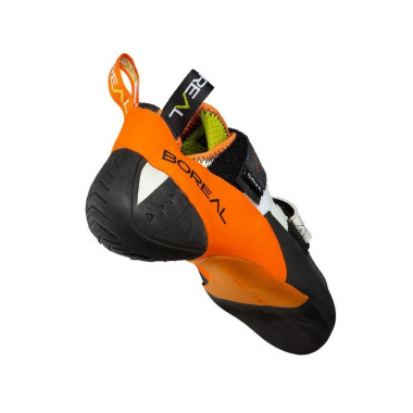 BOREAL PIE DE GATO CRUX, ARISTARUN