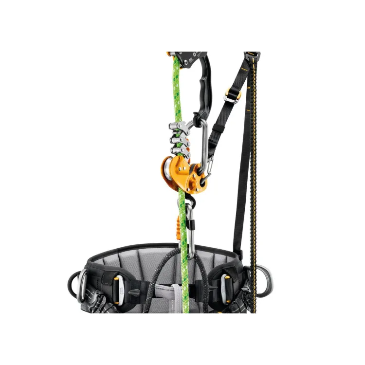 SEQUOIA SRT, ARISTARUN