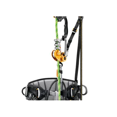 SEQUOIA SRT, ARISTARUN