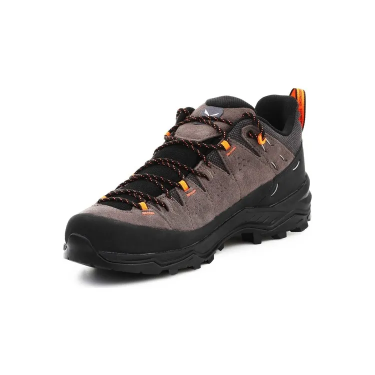 SALEWA ALP TRAINER 2 GTX, Aristarun