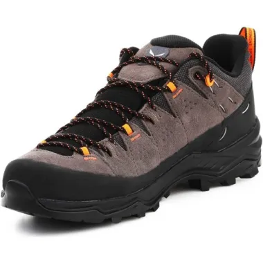 SALEWA ALP TRAINER 2 GTX, Aristarun