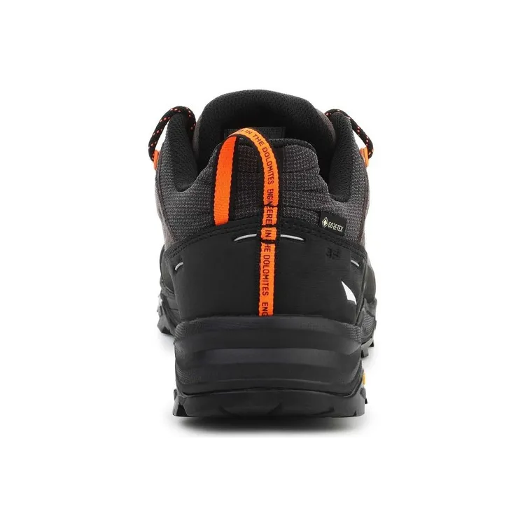SALEWA ALP TRAINER 2 GTX, Aristarun