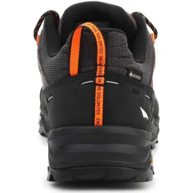 SALEWA ALP TRAINER 2 GTX, Aristarun