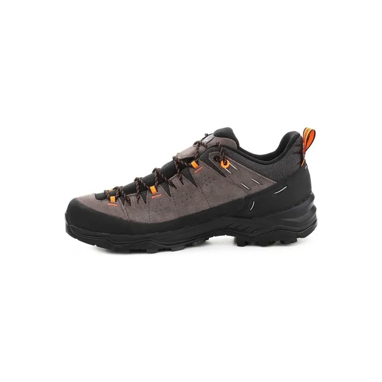 SALEWA ALP TRAINER 2 GTX, Aristarun