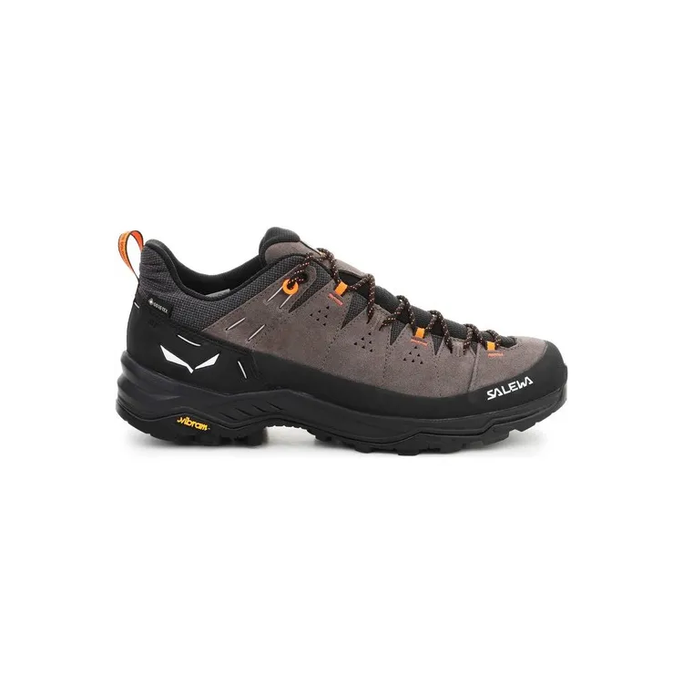 SALEWA ALP TRAINER 2 GTX, Aristarun