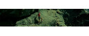 Climbing and Via Ferratas