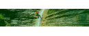 Caving and Canyoning